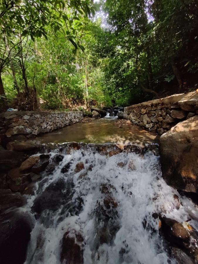 Forest And River Edge Resort Kannur Exteriér fotografie