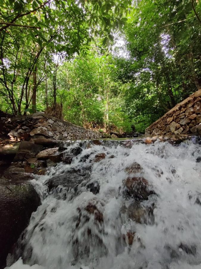 Forest And River Edge Resort Kannur Exteriér fotografie