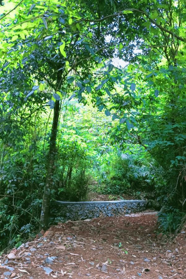 Forest And River Edge Resort Kannur Exteriér fotografie