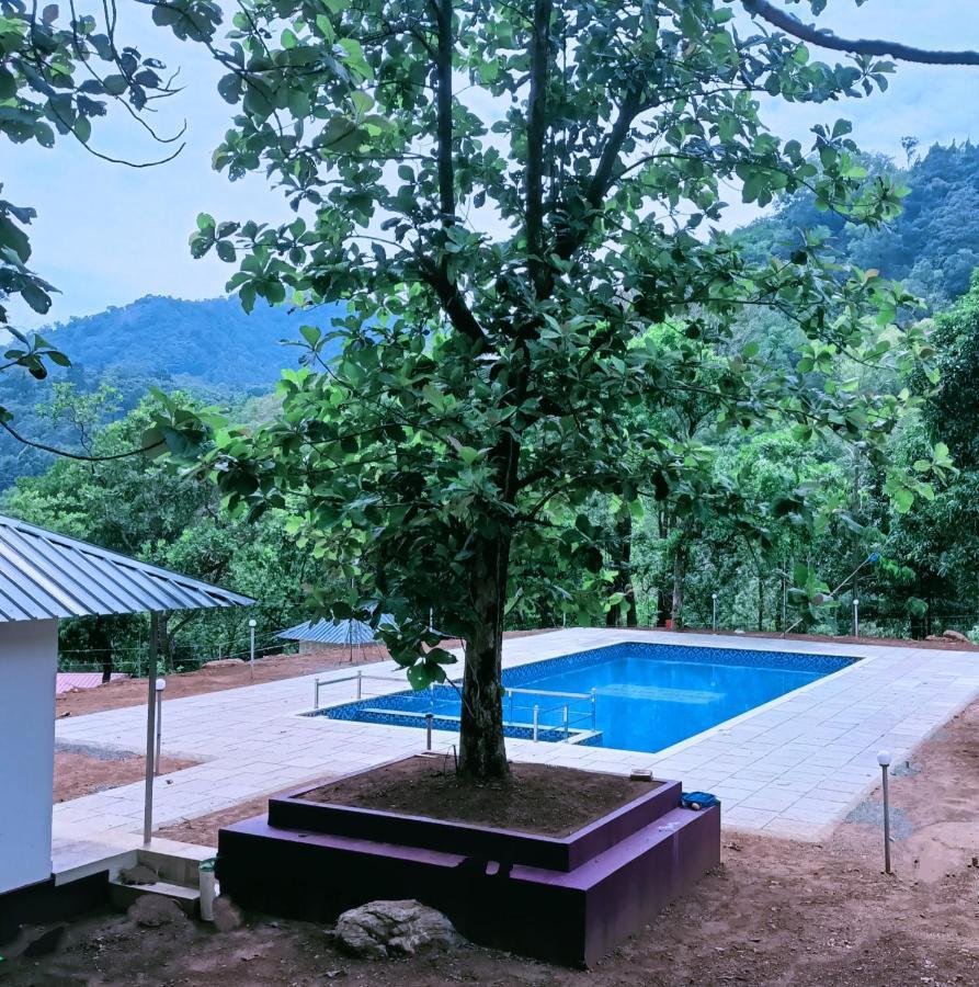 Forest And River Edge Resort Kannur Exteriér fotografie